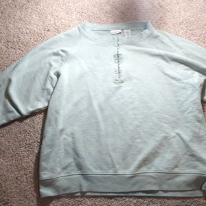 Vintage seafoam sweatshirt